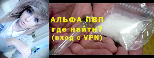 стафф Алексин