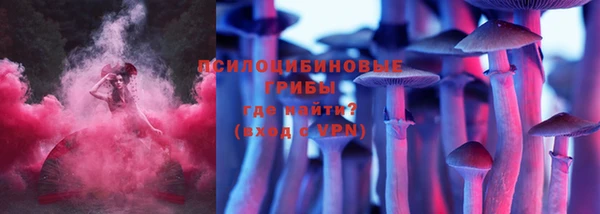 стафф Алексин