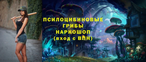 стафф Алексин