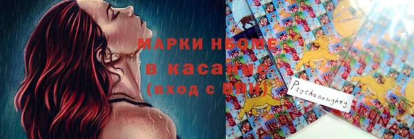 мдпв Билибино