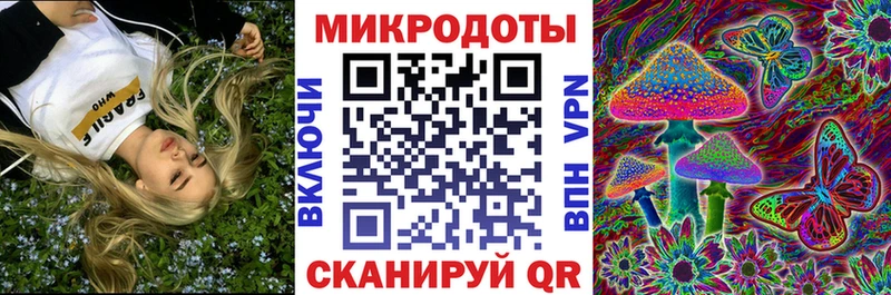 Псилоцибиновые грибы мицелий где найти Волхов